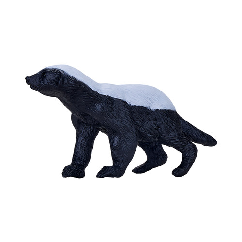 Honey badger wild zoo animals - wild,