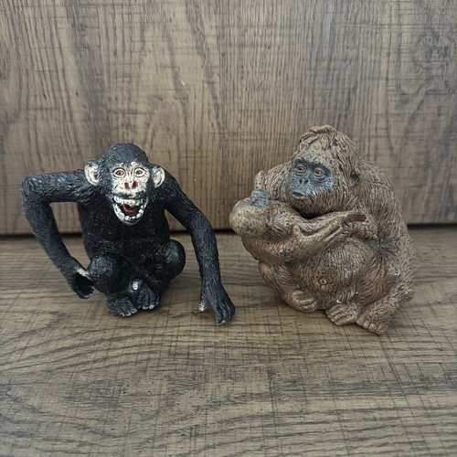 Chimpanzee orangutan wild - chimpanzee,