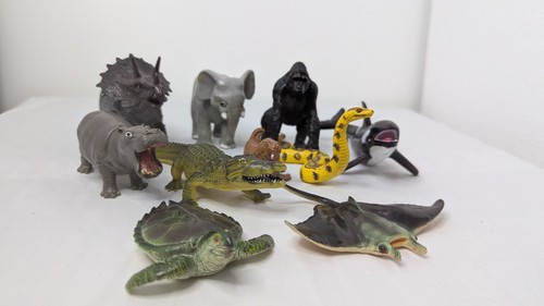 Safari zoo wild - zoo, bundle
