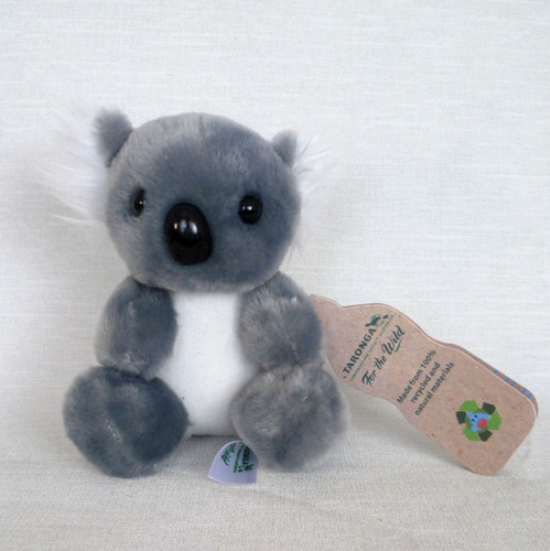 Taronga zoo australia koala - taronga,