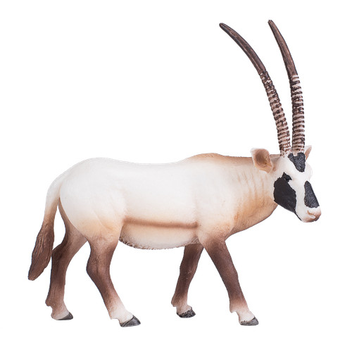 Mojo arabian oryx wild zoo - mojo,