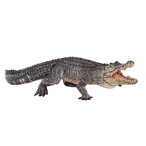 Mojo alligator moving jaw wild - jaw,