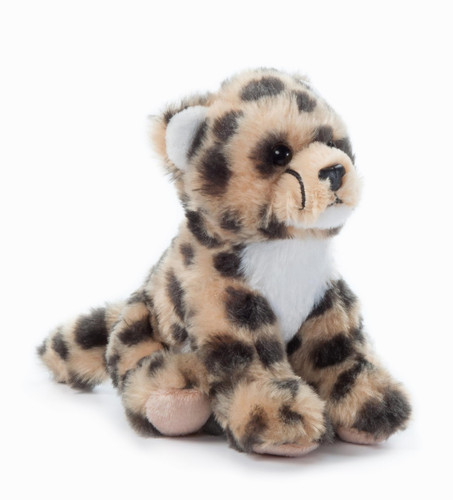 The petting zoo - the, cheetah