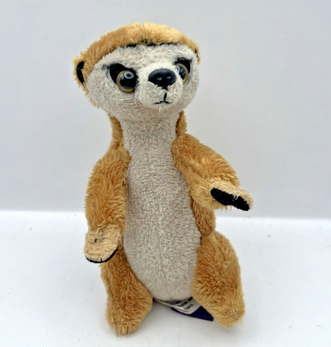 Ravensden twycross zoo meerkat - ravensden,