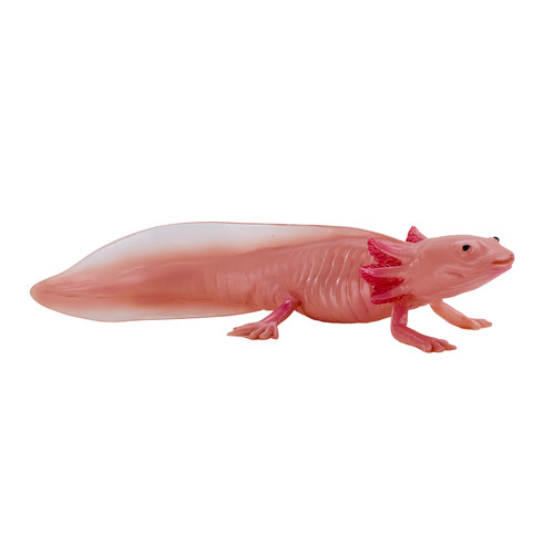 Mojo axolotl wild zoo - mojo, animals