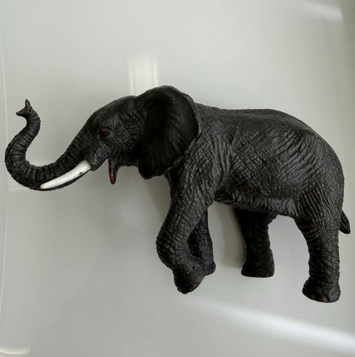 Early learning centre safari - early,