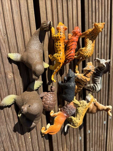 Bundle zoo animal - zoo,