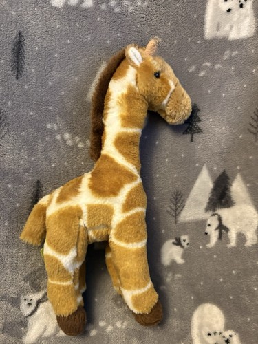 Twycross zoo giraffe - zoo,