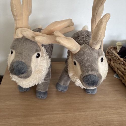 Colchester zoo reindeer soft - colchester,