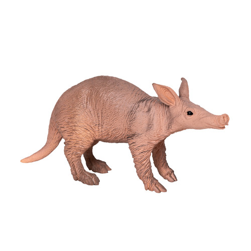 Mojo aardvark wild zoo animals - aardvark,
