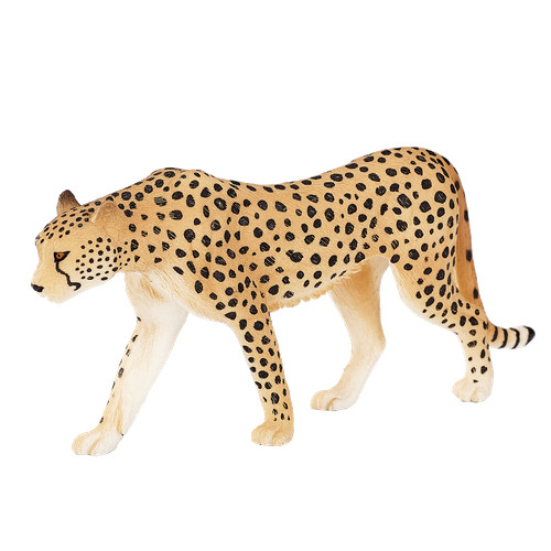 Mojo cheetah wild zoo animals - .mojo,