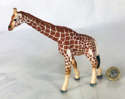 Schleich giraffe toy animal - schleich,
