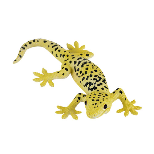 Leopard gecko wild - leopard, zoo