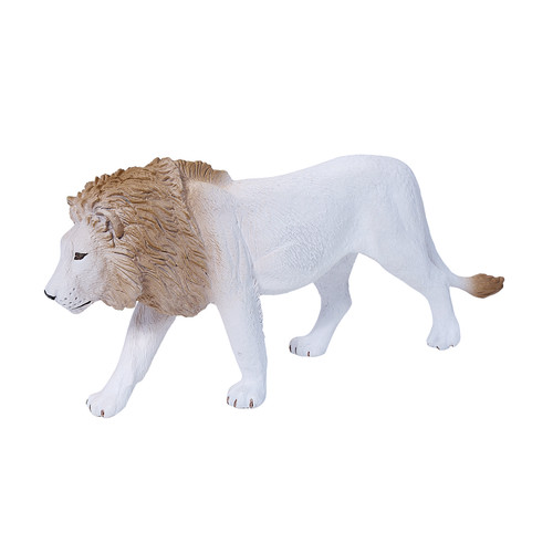 Male white lion wild zoo - male,
