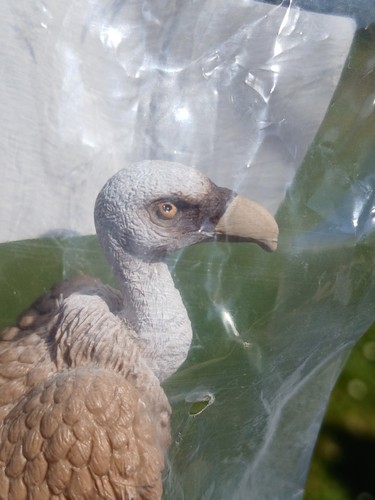 Schleich vulture plastic - vulture, toy