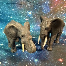 Mojo AFRICAN ELEPHANT Wild zoo