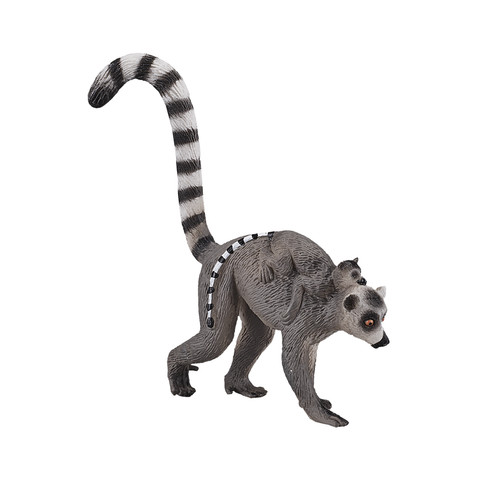Ringtail lemur baby - lemur,