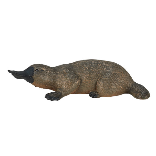 Mojo duck billed platypus - duck,