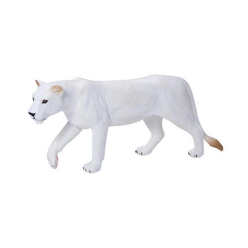 White lioness wild - zoo, animals