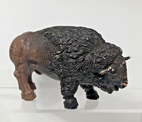 American bison buffalo - american,