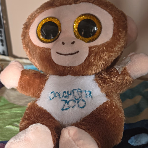 Colchester zoo small plush - zoo,