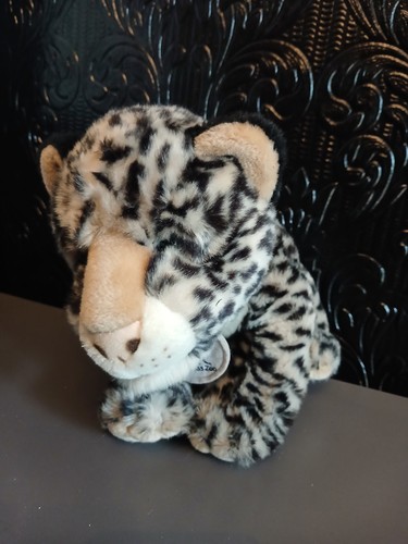 Twycross zoo snow leopard big - twycross,