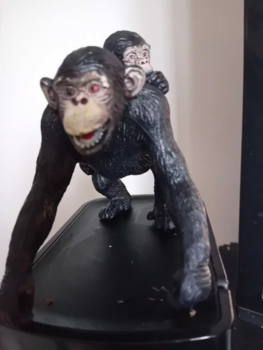 Chimpanzee with baby wild zoo - with,