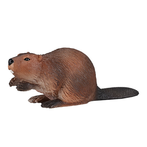 Mojo beaver wild - mojo,