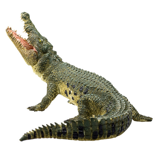 Mojo nile crocodile moving jaw - crocodile,