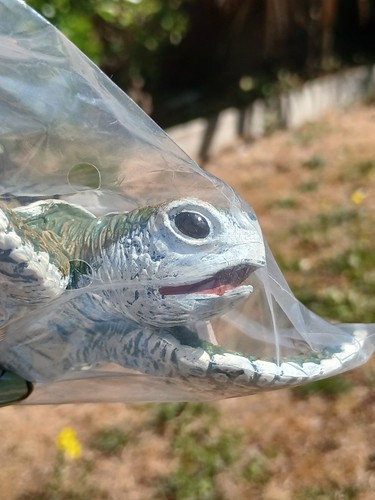 Safari ltd ridley turtle - ltd,