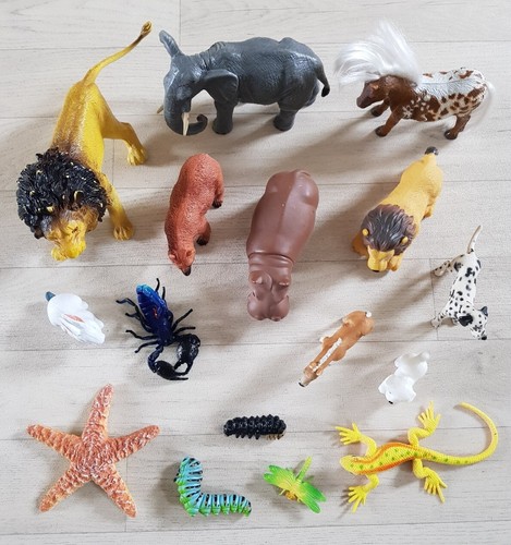 Animals insects scorpion - animals, &