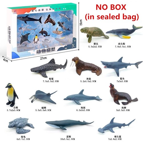12x animal model - 12x,