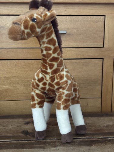 Large twycross zoo giraffe - zoo,