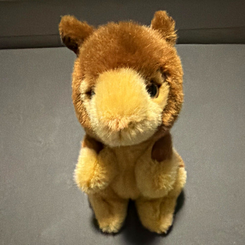 Chester zoo tree kangaroo - tree,