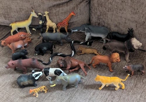 Bundle lot wild - lot, of
