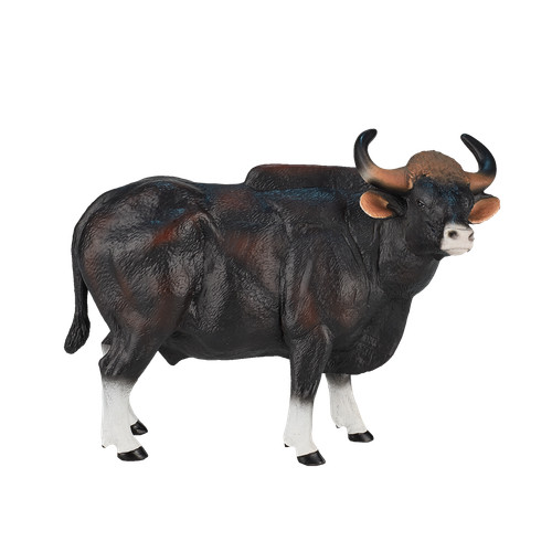 Mojo gaur bull - gaur, zoo