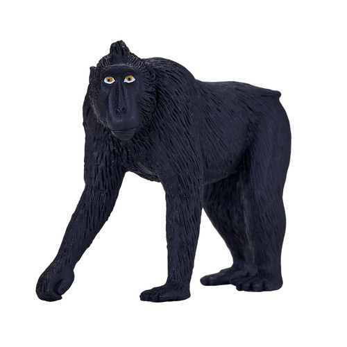 Mojo black crested macaque - crested,
