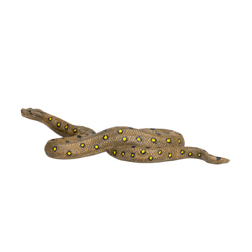 Green anaconda wild zoo - anaconda,